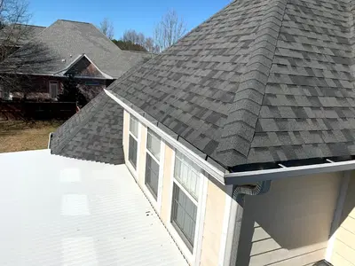Platinum Roofing
