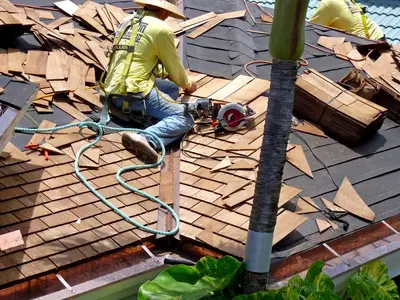 Wilkinson Shake Roofing