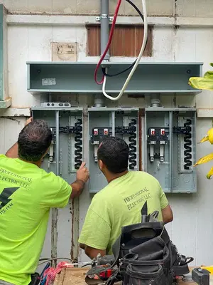 Professional Electric LLC