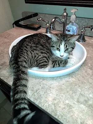 Boise Plumbing
