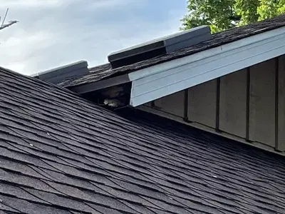 Benchmark Exteriors