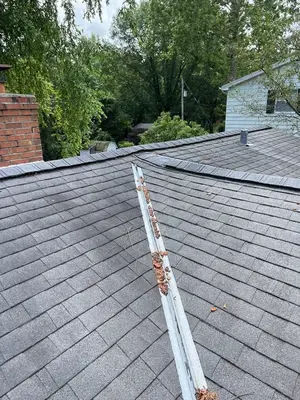 ROOF TIGER