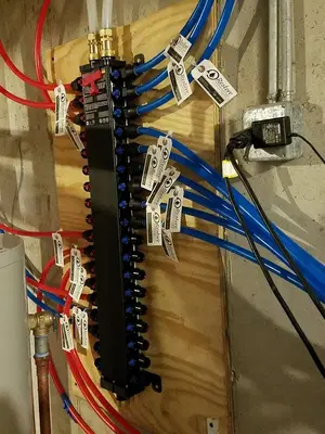 Business Photo