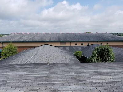 The Roof Squad