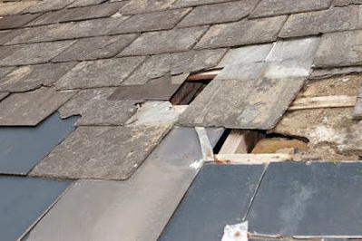 Thomas Jefferson Roofing & Remodeling LLC