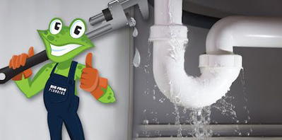 Big Frog Plumbing