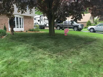 Stevens Property Services