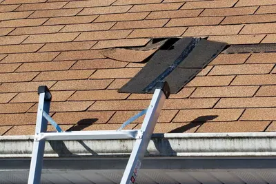 Red Wolf Roofing