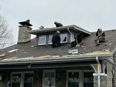Mighty Dog Roofing