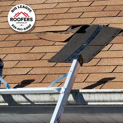 Big League Roofers