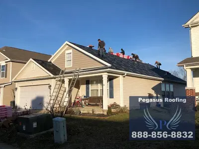 Pegasus Roofing and Construction