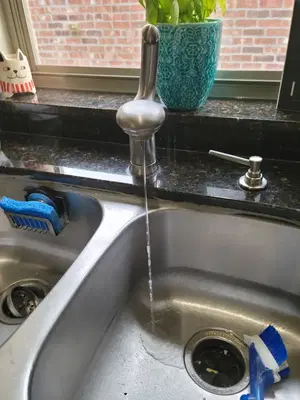 Universal Plumbing Co.