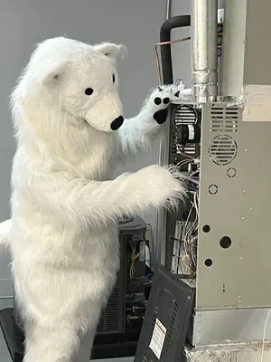 Business Photo
