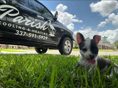 Business Photo