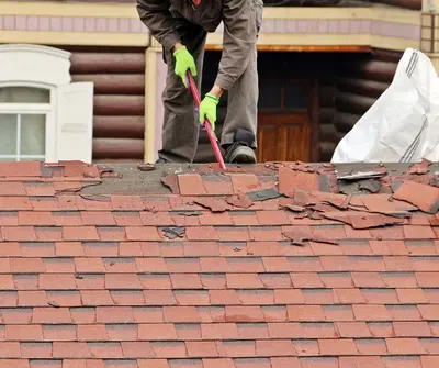 Blue Monkey Roofing