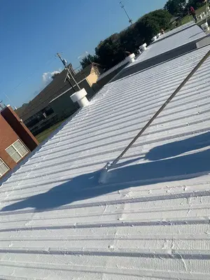 Bayou State Roofing