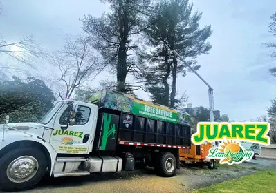Juarez Landscaping and Tree Services