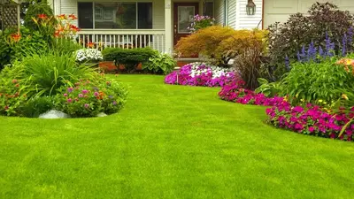 New Generation Landscaping and Fence