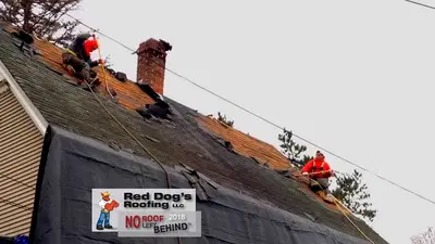 Red Dog's Roofing LLC