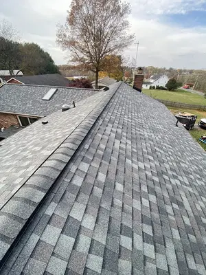 The Home Wise Pros