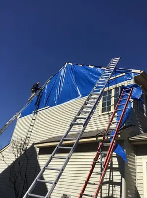 Pro Services LLC