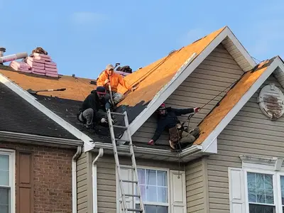 Kanga Roof