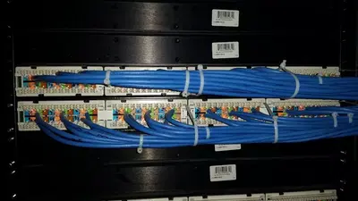 Bridged Technology