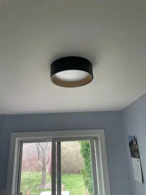 Blackcap Handyman
