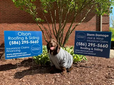 Business Photo