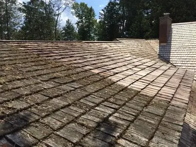 The Roof Cleaner