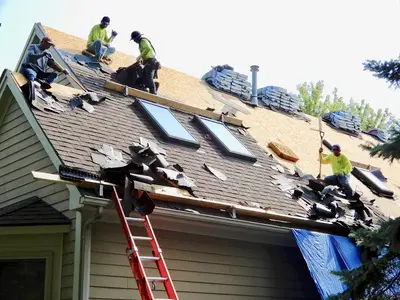 Roof Advance