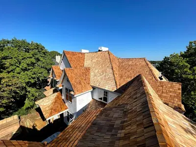 Business Photo