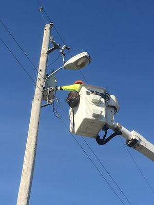 Reinhold Electric