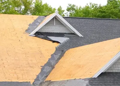 The Springfield Roofers