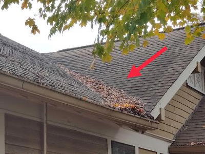 Expedited Roofing & Repair