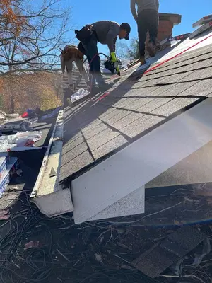Premiere Roofing & Gutters