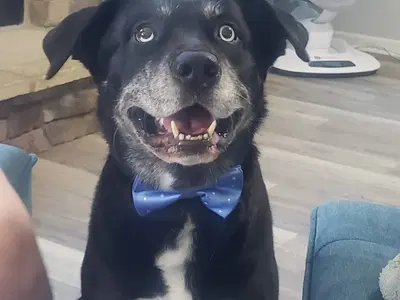 Business Photo
