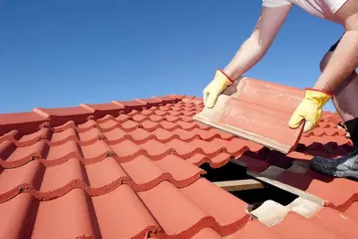 Flores & Foley Roofing