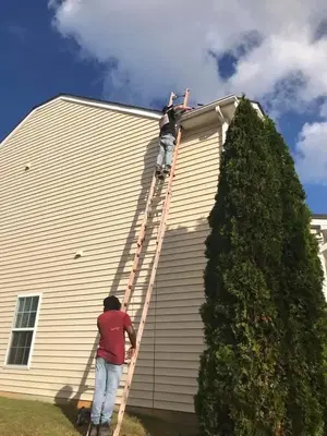 Quality Services