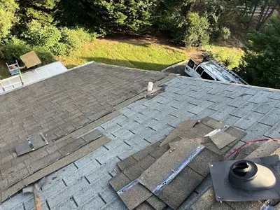Carolina Home Specialists