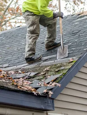 Big Bear Roofing