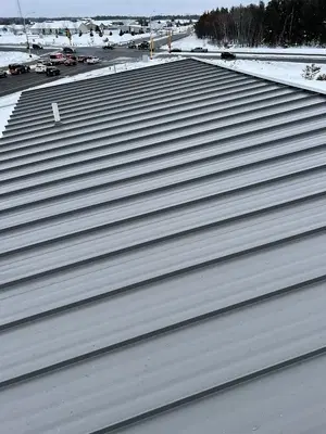Vita Roofing