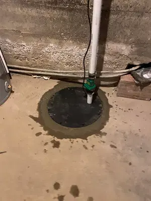 Drain Services Inc.