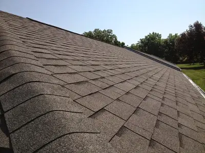 Carlson Projects, Inc.