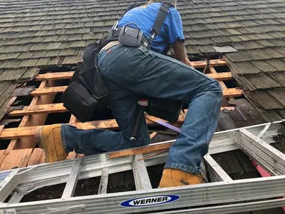 Pro Line Construction LLC