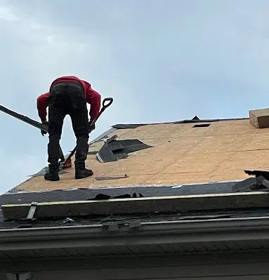 Top Roof