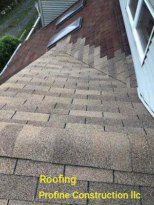 Profine Construction LLC