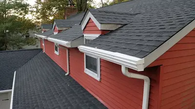 Ale Home Improvement Roofing