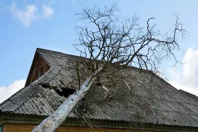 Pfister Roofing