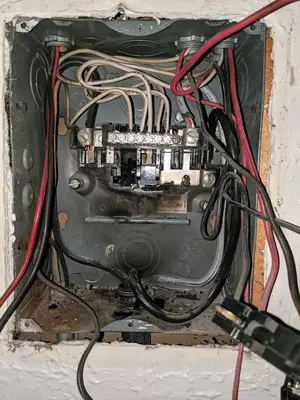 Eco Electric